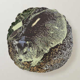 Cojín Redondo Hyrax africano relajándose en la roca