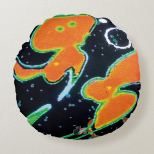 Cojín Redondo Imagen de Punkin KC