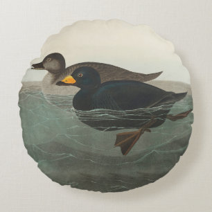 Cojín Redondo Impresión de Negrón Americano de Audubon: Pato Cos