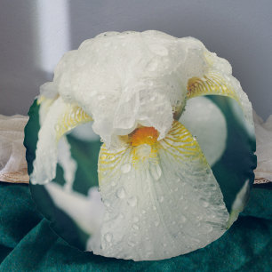 Cojín Redondo Iris con gotitas de agua