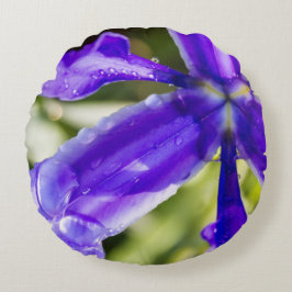 Cojín Redondo Iris púrpura con las gotas de agua