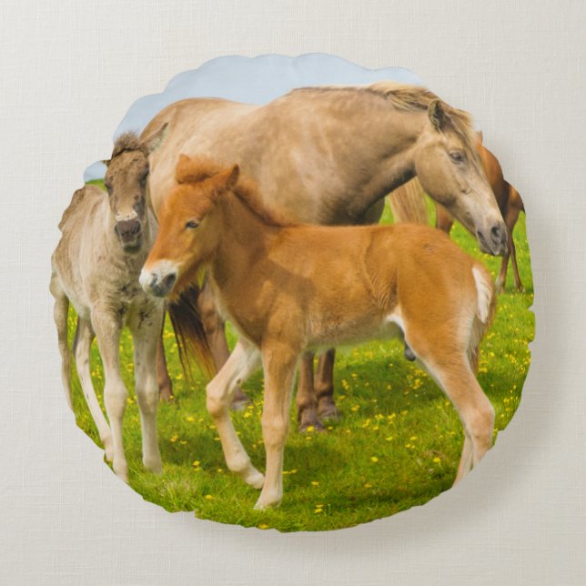Cojín Redondo Islandia. Dyrholaey. Potros de caballo islandés (Anverso)