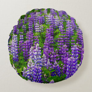 Cojín Redondo Islandia. Vik i Myrdal. Campo de Lupines