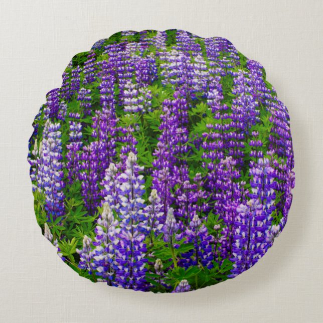 Cojín Redondo Islandia. Vik i Myrdal. Campo de Lupines (Anverso)