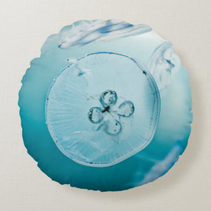 COJÍN REDONDO JELLYFISHES BAJO EL AGUA