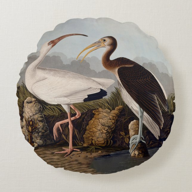 Cojín Redondo John James Audubon White Ibis Bird Print Classic (Anverso)