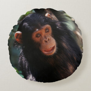 Cojín Redondo Joven chimpancé