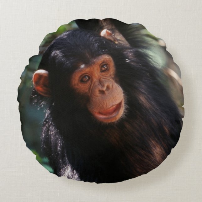 Cojín Redondo Joven chimpancé (Anverso)