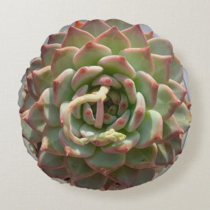 Cojín Redondo Juicy succulum pillow