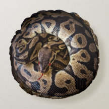 La divertida serpiente de Python Prank