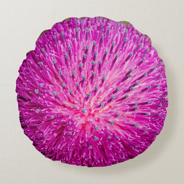 Cojín Redondo Leche con el cardo cerrado (Anverso)