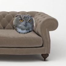 Lechuza águila euroasiática con ojos Naranjas