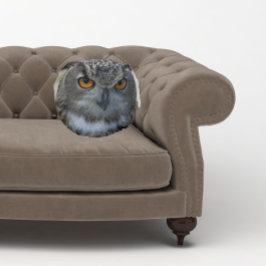 Cojín Redondo Lechuza águila euroasiática con ojos Naranjas