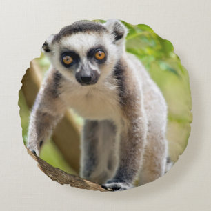 Cojín Redondo Lémur de cola anillada para bebés