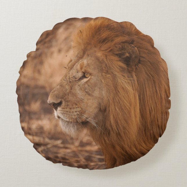COJÍN REDONDO LEÓN DE LARGO MANDO (Anverso)