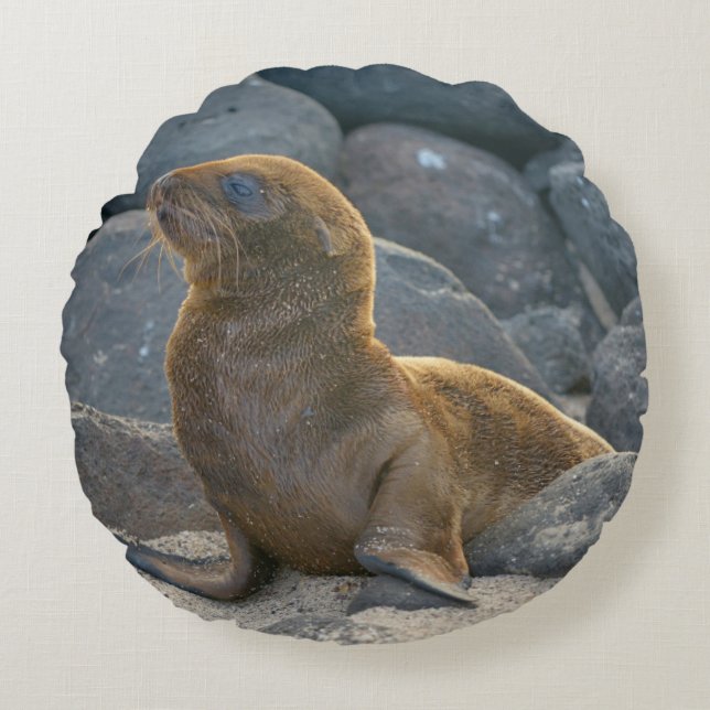 Cojín Redondo León del Mar de Galápagos (Anverso)