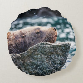 Cojín Redondo León Marítimo En La Bahía De Resurrección, Alaska