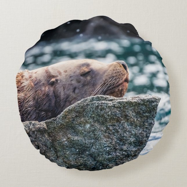 Cojín Redondo León Marítimo En La Bahía De Resurrección, Alaska (Reverso)