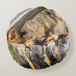 Cojín Redondo Leones Marinos Sobre Las Rocas
