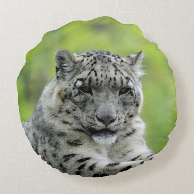 Cojín Redondo Leopard_2015_0310 (Reverso)