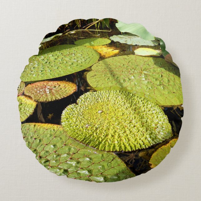 Cojín Redondo Lily Pads Round Cushion (Anverso)