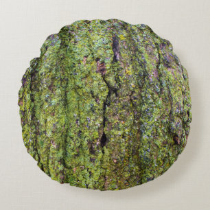 Cojín Redondo Liquen verde en corteza de árbol Naturaleza