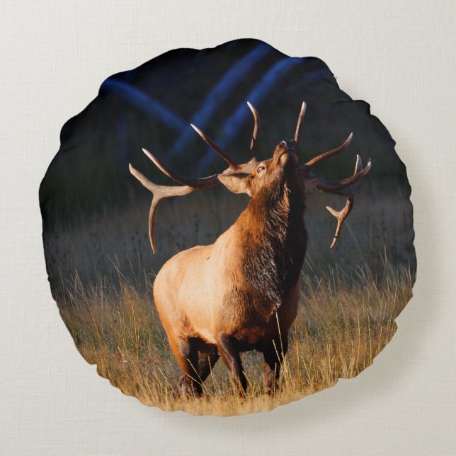 Cojín Redondo Los alces de Bull con dirigen detrás (Reverso)