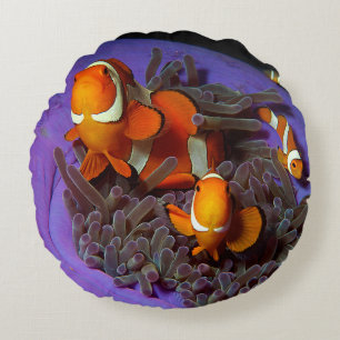 Cojín Redondo Los peces payasos siempre están en movimiento   Bu