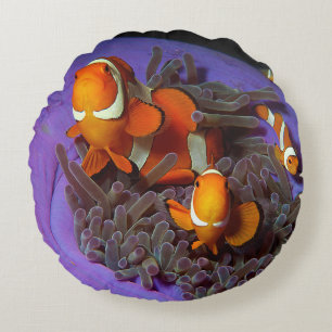 Cojín Redondo Los peces payasos siempre están en movimiento   Bu