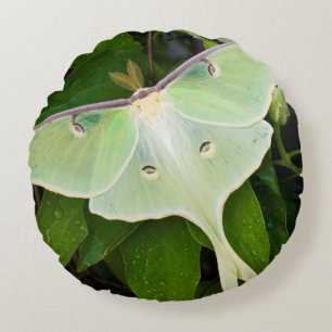 Cojín Redondo Luna Moth en Carnaby Clematis
