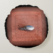 Macrofotografía del caracol en Terracota