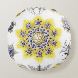 Cojín Redondo Macromarino Criaturas ~ Amoeba Cushions