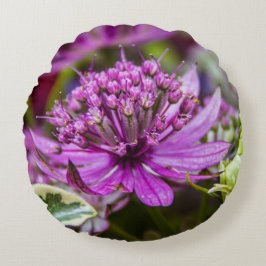 Cojín Redondo Magia exquisita de las flores #1