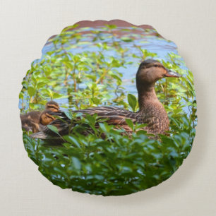 Cojín Redondo Mallard y Ducklings-Natación por Shirley Taylor