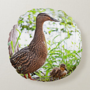 Cojín Redondo Mallard y Ducklings por Shirley Taylor