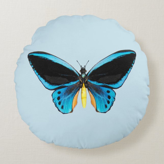 Cojín Redondo Mariposa Ala de Pájaro (Anverso)