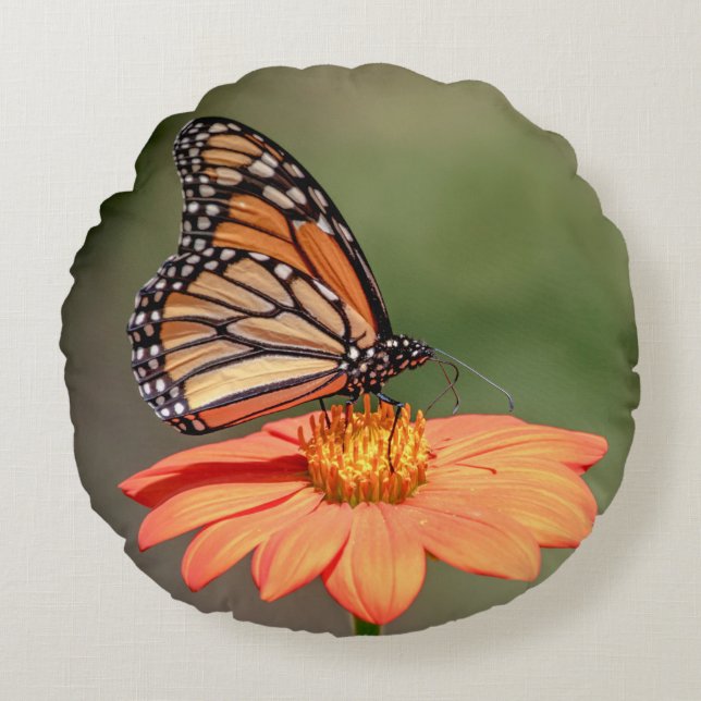 Cojín Redondo Mariposa monarca en una flor naranja (Anverso)