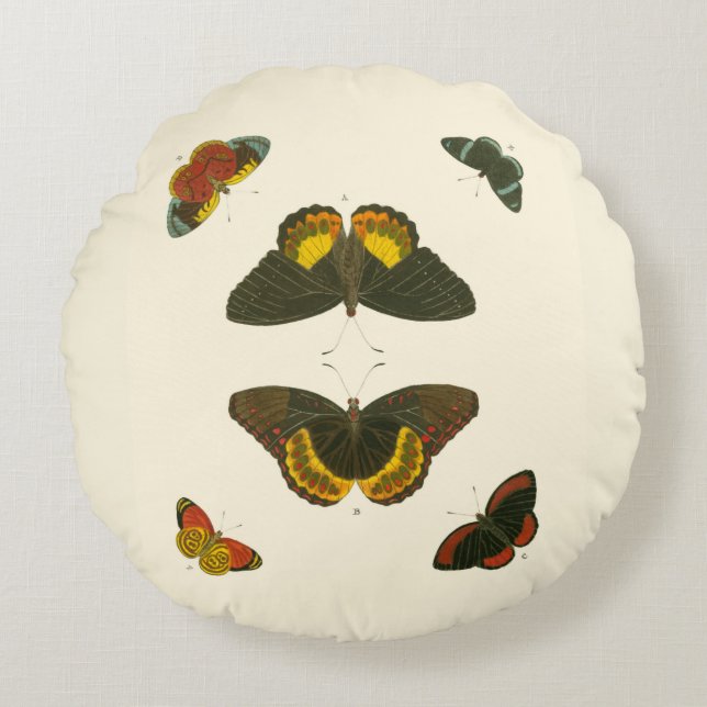 Cojín Redondo Mariposas brillantes por Pieter Cramer (Anverso)