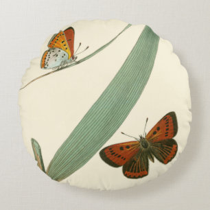 Cojín Redondo Mariposas de colores fluyen alrededor de una hoja