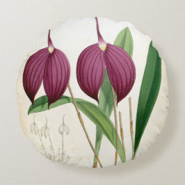 Cojín Redondo Masdevallia Harryana