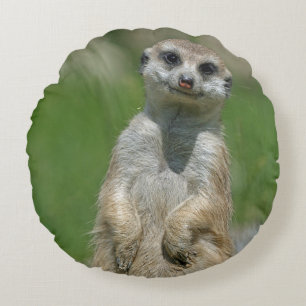 Cojín Redondo Meerkat 013