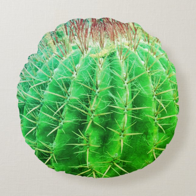 Cojín Redondo Mirada Espinosa Cactus Verde Natural (Anverso)