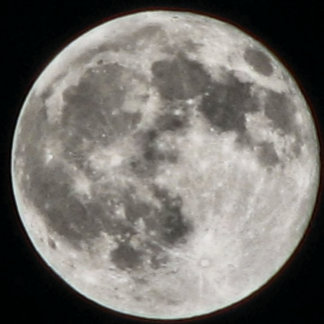 COJÍN REDONDO MOMZMOON