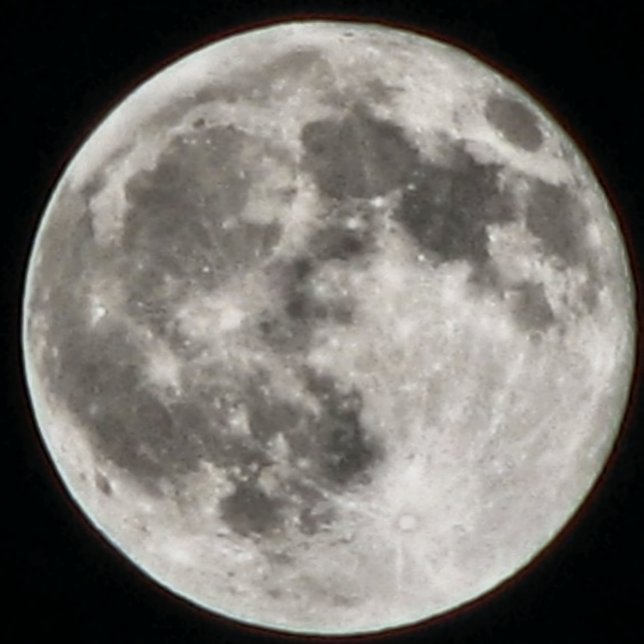COJÍN REDONDO MOMZMOON (Subido por el creador)