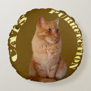 Cojín Redondo Moneda De Oro Ginger Cat, Colchón Redondo