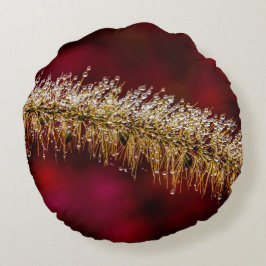 Cojín Redondo Morning Dew