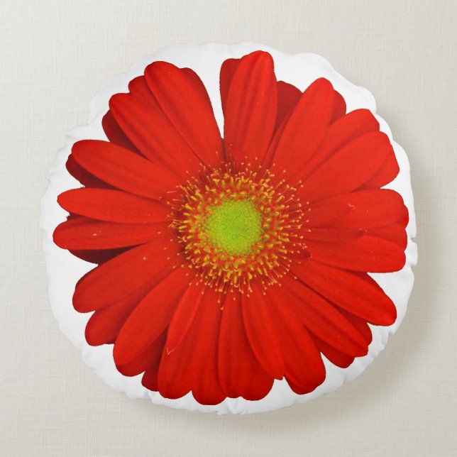 Cojín Redondo Naranja Gerbera Daisy Flower (Anverso)