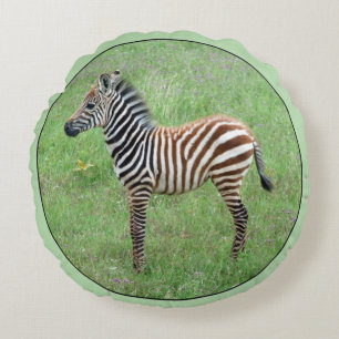 Cojín Redondo Ngorongoro Baby Zebra