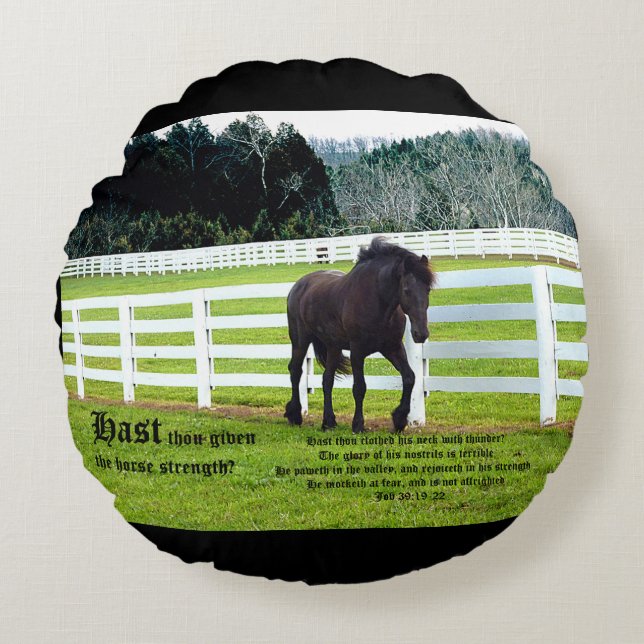 Cojín Redondo Nonesuch at Cedar Point w Job 39 (Anverso)