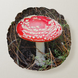 Cojín Redondo Nueva Zelanda, Rotorua, Zona Volcánica de Taupo